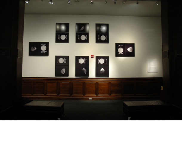 Milton j. Weill Art Gallery, New York